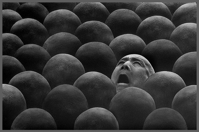 1698057492176743.png 1698057492176743.png